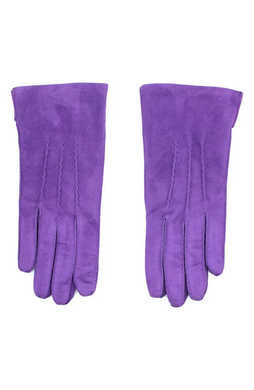 Portolano Suede Gloves In Purple