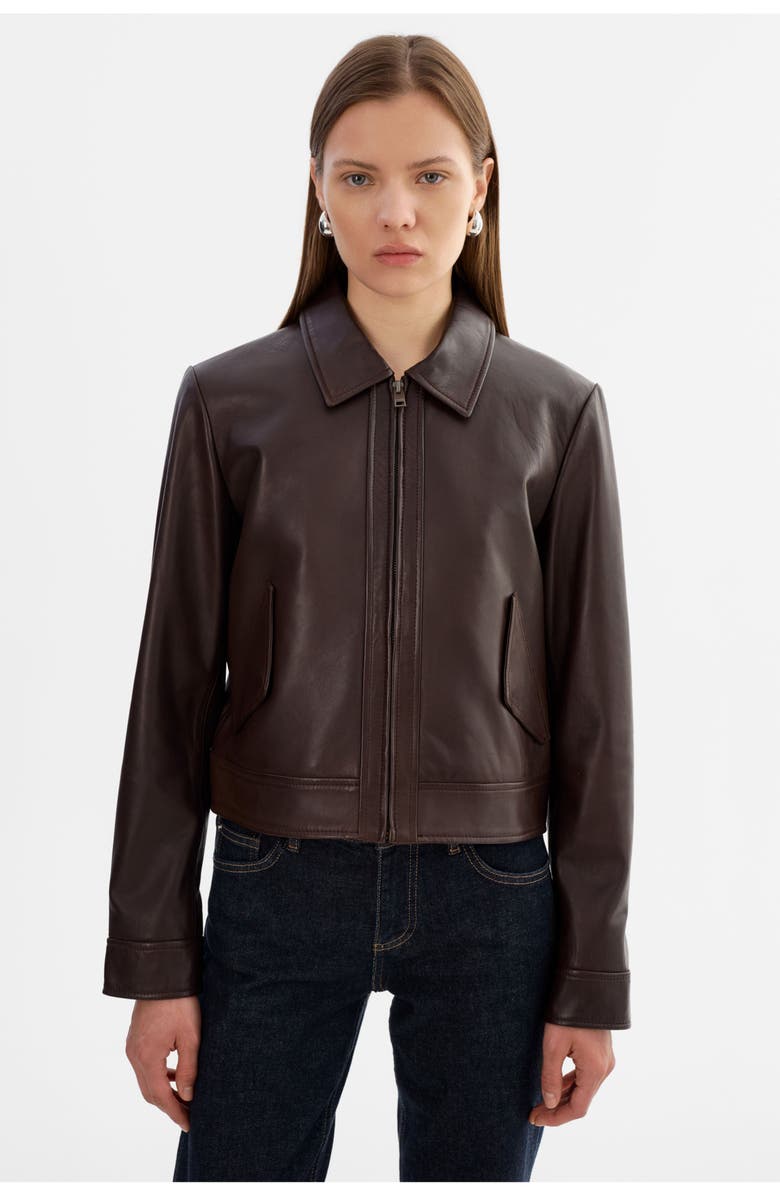 LAMARQUE Tess | Leather Jacket, Alternate, color, Dark Brown