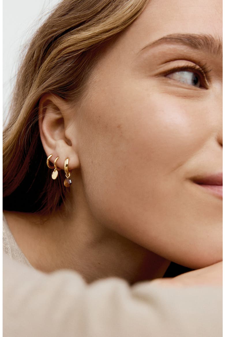 Nura Tiger's-Eye Drop Huggie Hoop Earrings, Alternate, color, 18CT GOLD VERMEIL / TIGERS EYE