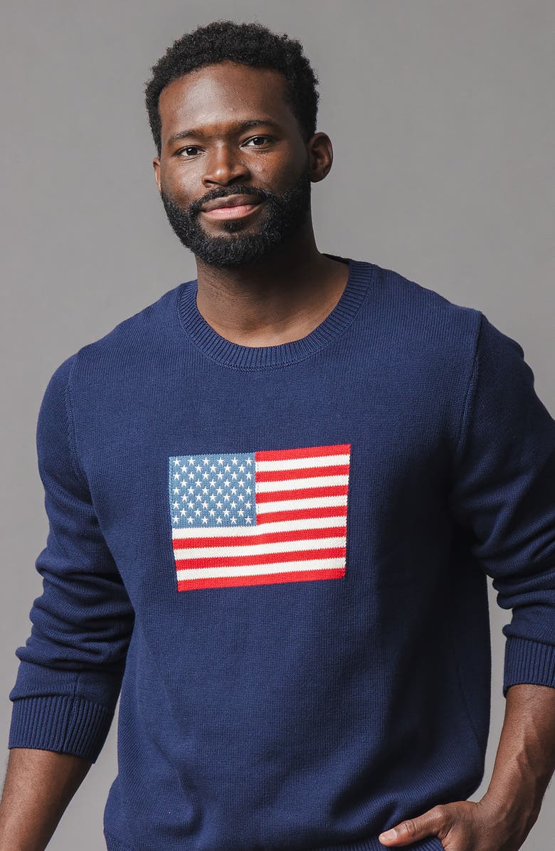 Hope & Henry Men's Organic Crew Neck Flag Sweater, Alternate, color, Navy Flag