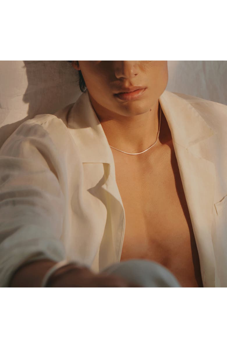 LOUPN Snake Chain Necklace, Alternate, color, Silver