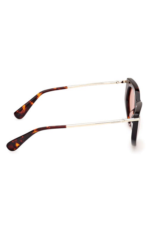 Max Mara Women's Dark Havana Beth Cat-eye Sunglasses In Dark Havana/brown