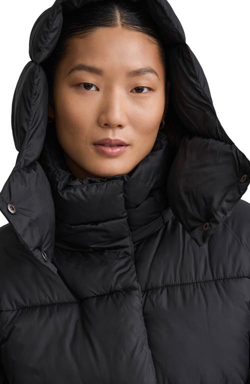 Nvlt Cire Wonder Puffer Jacket With Removable Hood In Black