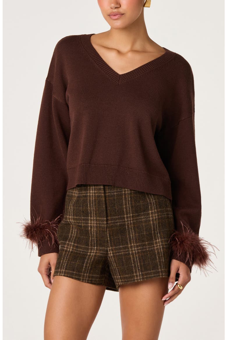 Perdita Feather Trim V-Neck Sweater, Main, color, BROWN