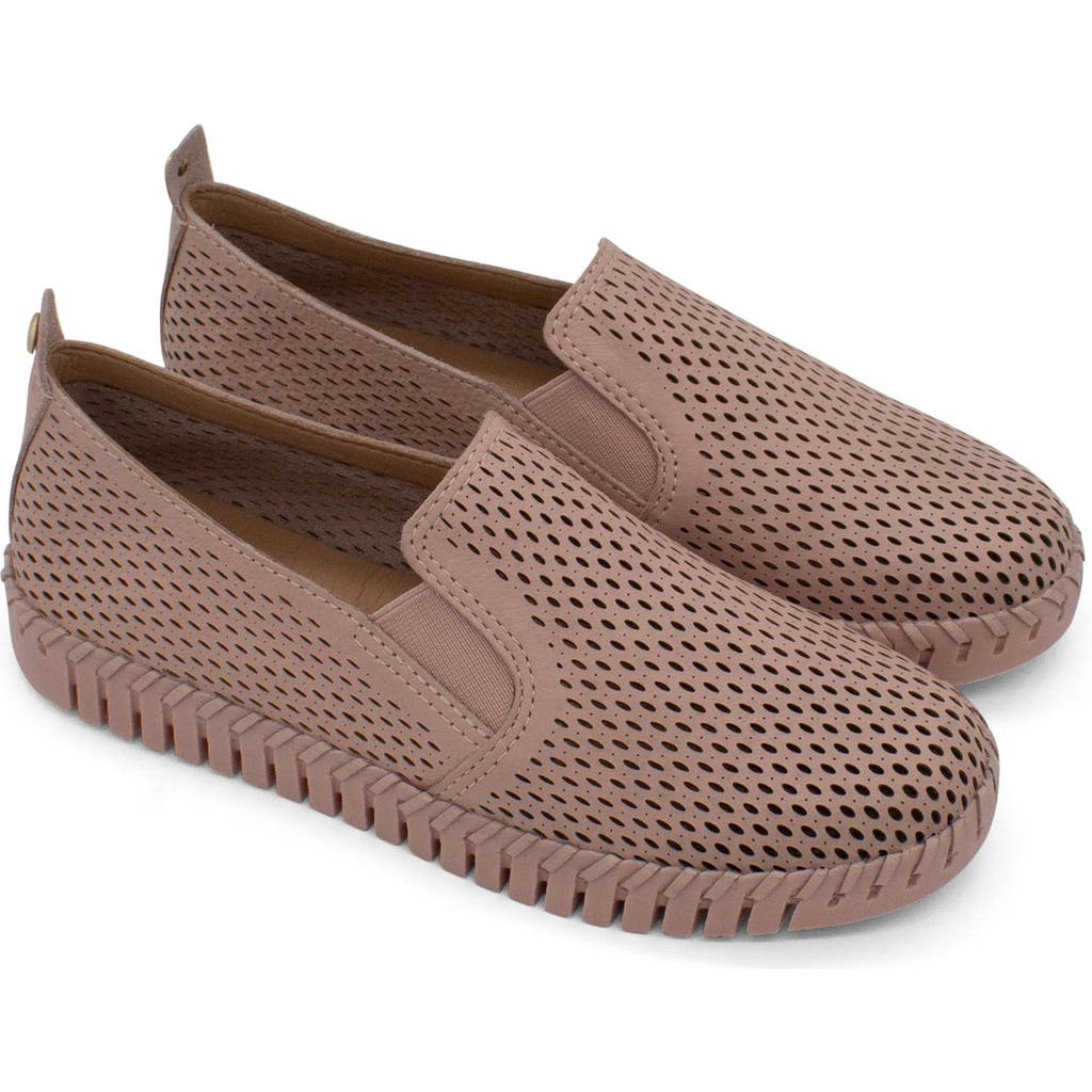 Bottero Bottwister Verao Xxiii Slip-on Sneaker