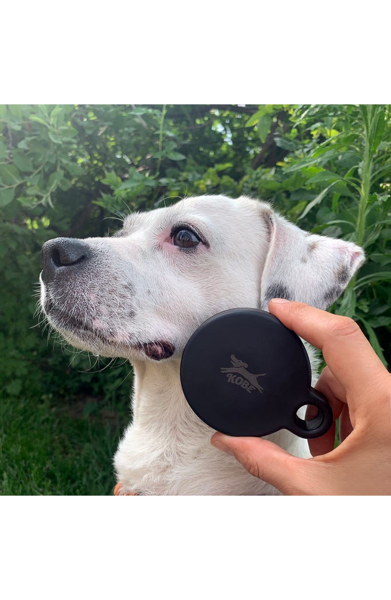 Kikkerland Design Dog Spa Kit, Alternate, color, 