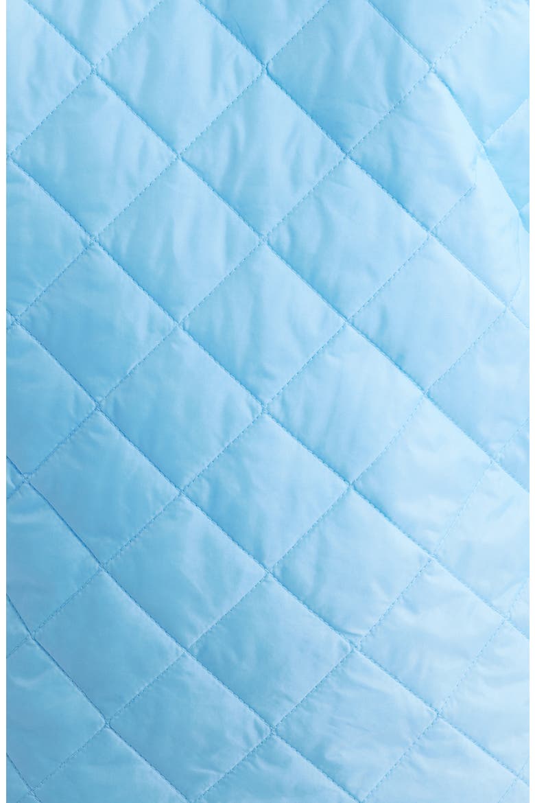 Quilted Nylon Delivery Jacket, Alternate, color, BLUE