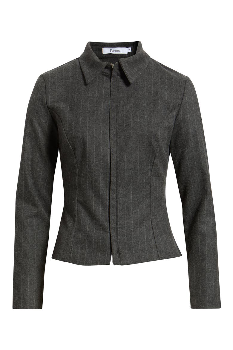 Delirio Pinstripe Zip Jacket, Alternate, color, GRIS
