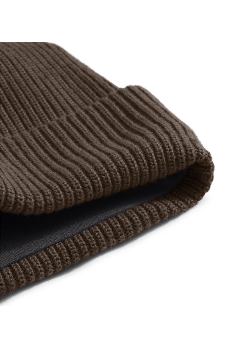 The North Face Salty Dog Beanie, Alternate, color, Smokey Brown