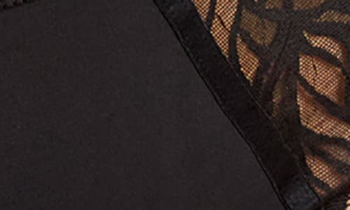 Panache Sophia Lace Cheeky Briefs In Black
