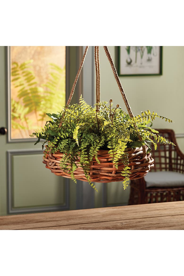 Boston Fern Rustic Drop-In 12", Alternate, color, Green
