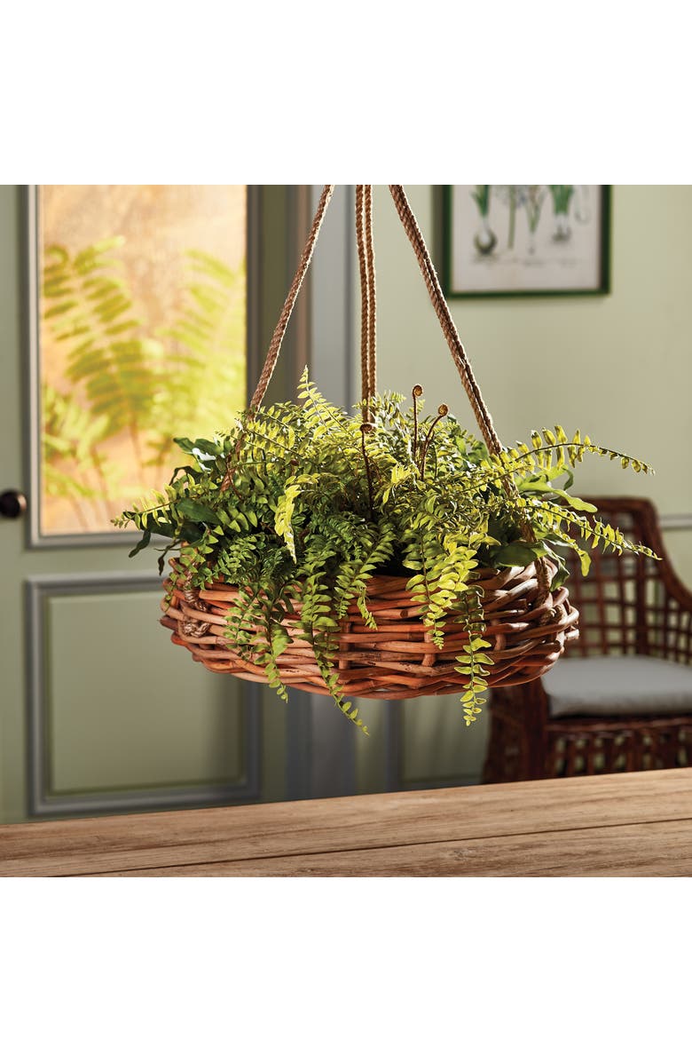 Napa Home & Garden Boston Fern Rustic Drop-In 12", Alternate, color, Green