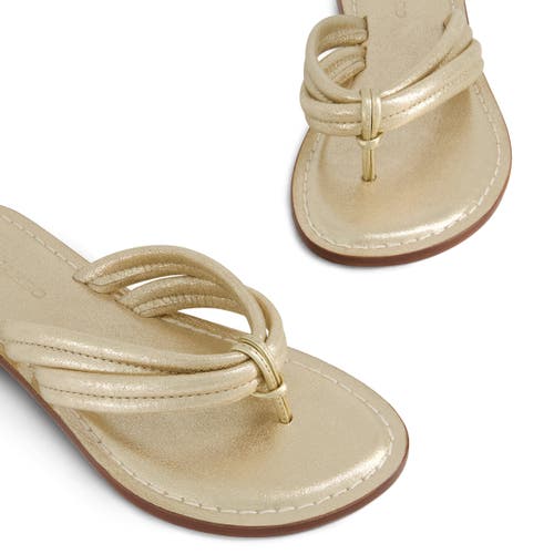 Bernardo Footwear Miami Thong Sandal In Distressed Platinum