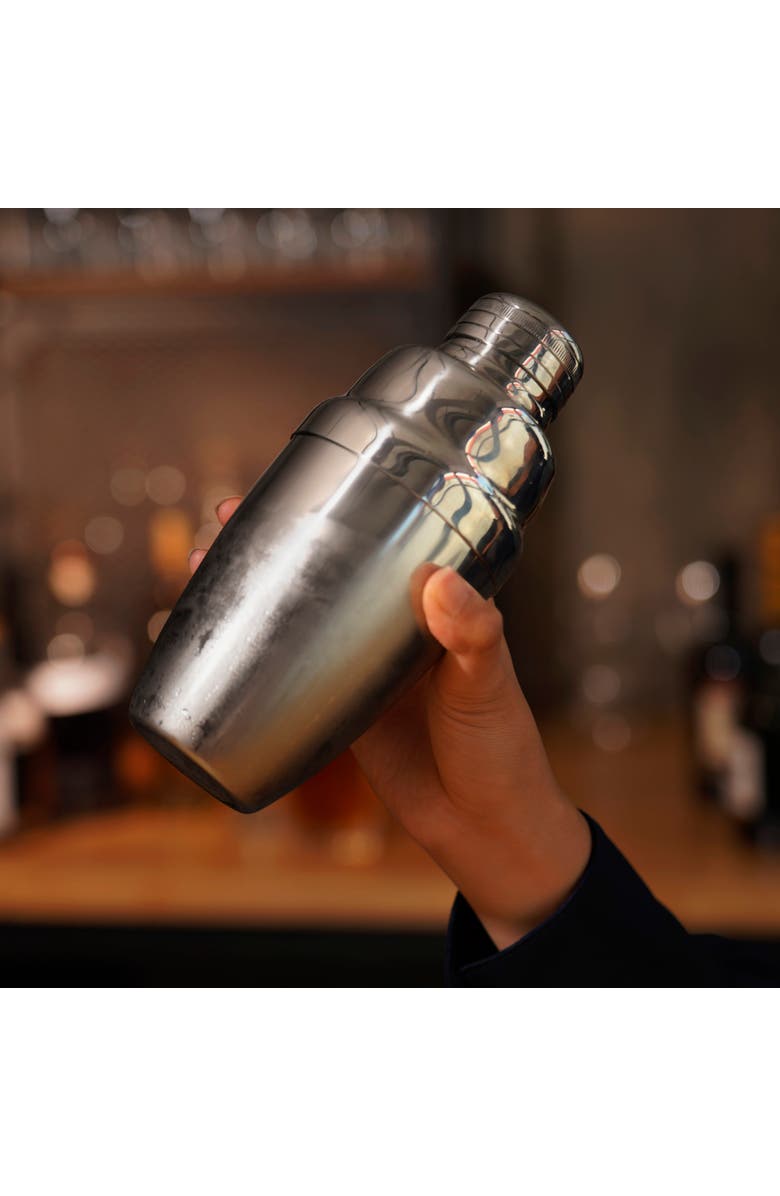 Viski Heavyweight Cocktail Shaker, Alternate, color, Harrison