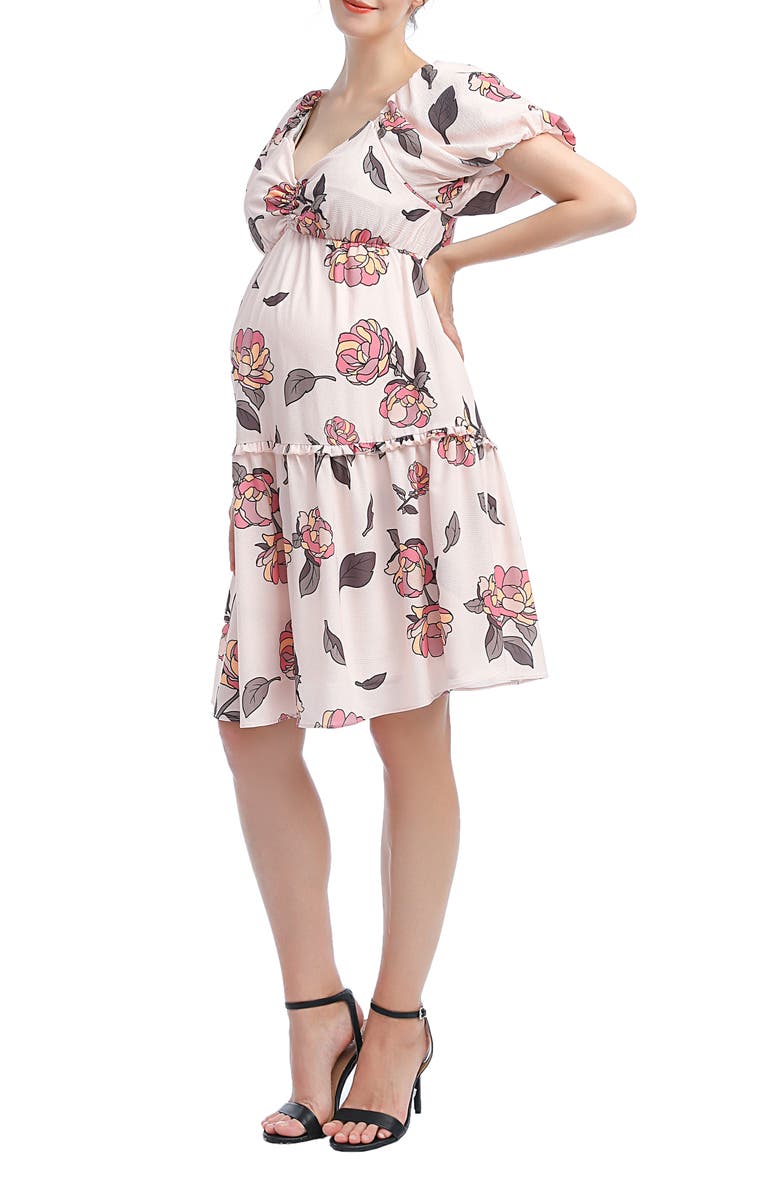 Kimi and Kai Anouk Floral A-Line Maternity/Nursing Dress, Alternate, color, 