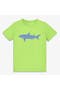 selected Lime Shark