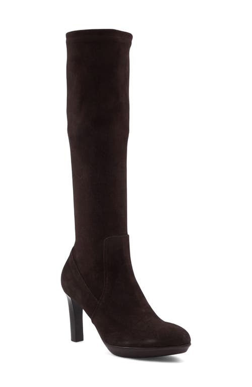 Aquatalia Rhumba Knee High Boot In Brown