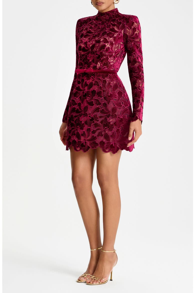 Lydia Floral Lace Long Sleeve Minidress, Alternate, color, BURGUNDY