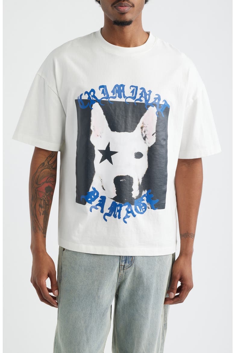 Star Dog Cotton Graphic T-Shirt, Main, color, OFF-WHITE