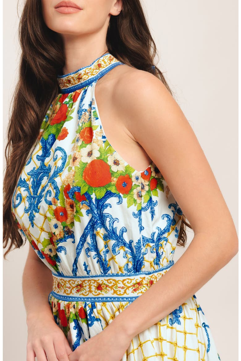Floral Sleeveless Cotton Maxi Dress, Alternate, color, IVORY BLUE