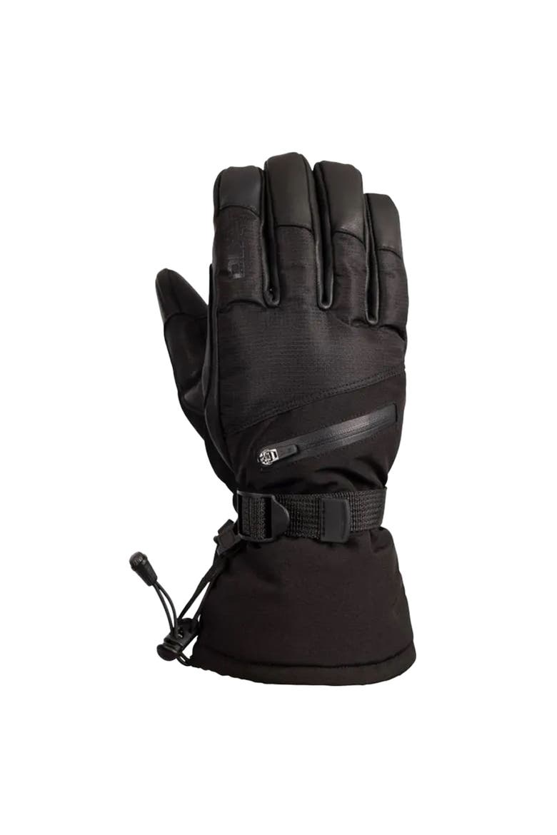 Gender Inclusive Edonia Dlx Leather Ski Gloves, Alternate, color, Black