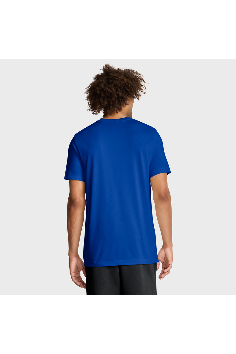 Men's Jordan Brand Royal Florida Gators Primetime Legend Kinetic Mantra Dri-FIT T-Shirt, Alternate, color, Royal