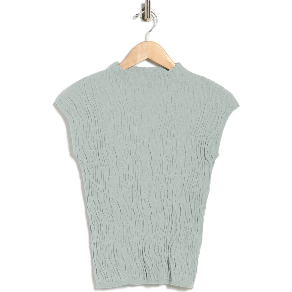 Bobeau Animal Jacquard Stripe Cap Sleeve Sweater In Blue