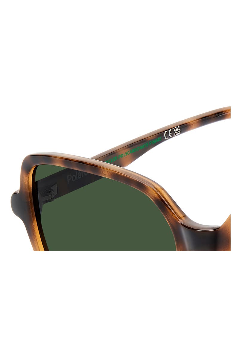 56mm Polarized Square Sunglasses, Alternate, color, HAVANA/ GREEN PZ