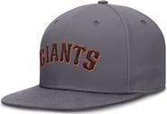 Nike Men's Nike Gray San Francisco Giants Performance True Fitted Hat