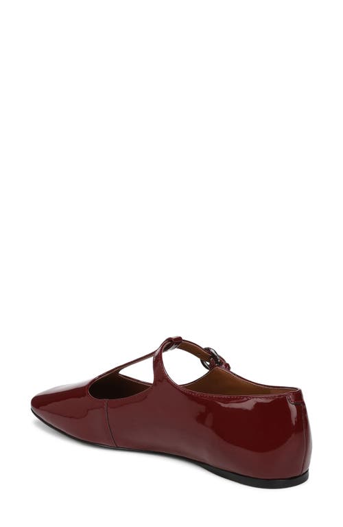 Sarto By Franco Sarto Flexa Astoria T-strap Flat