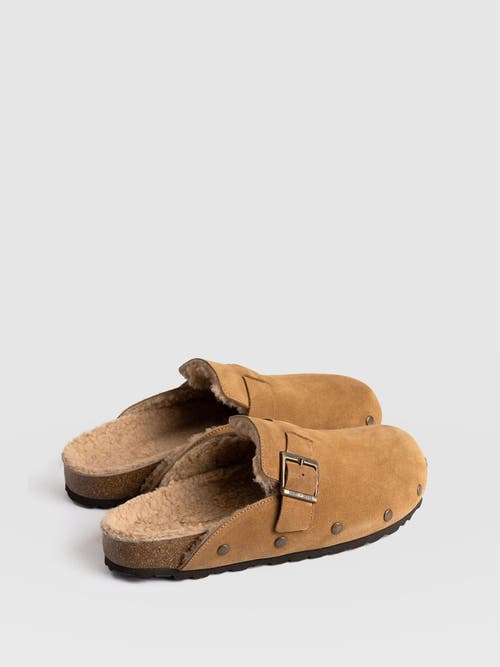 Saint + Sofia Studded Clogs In Brown