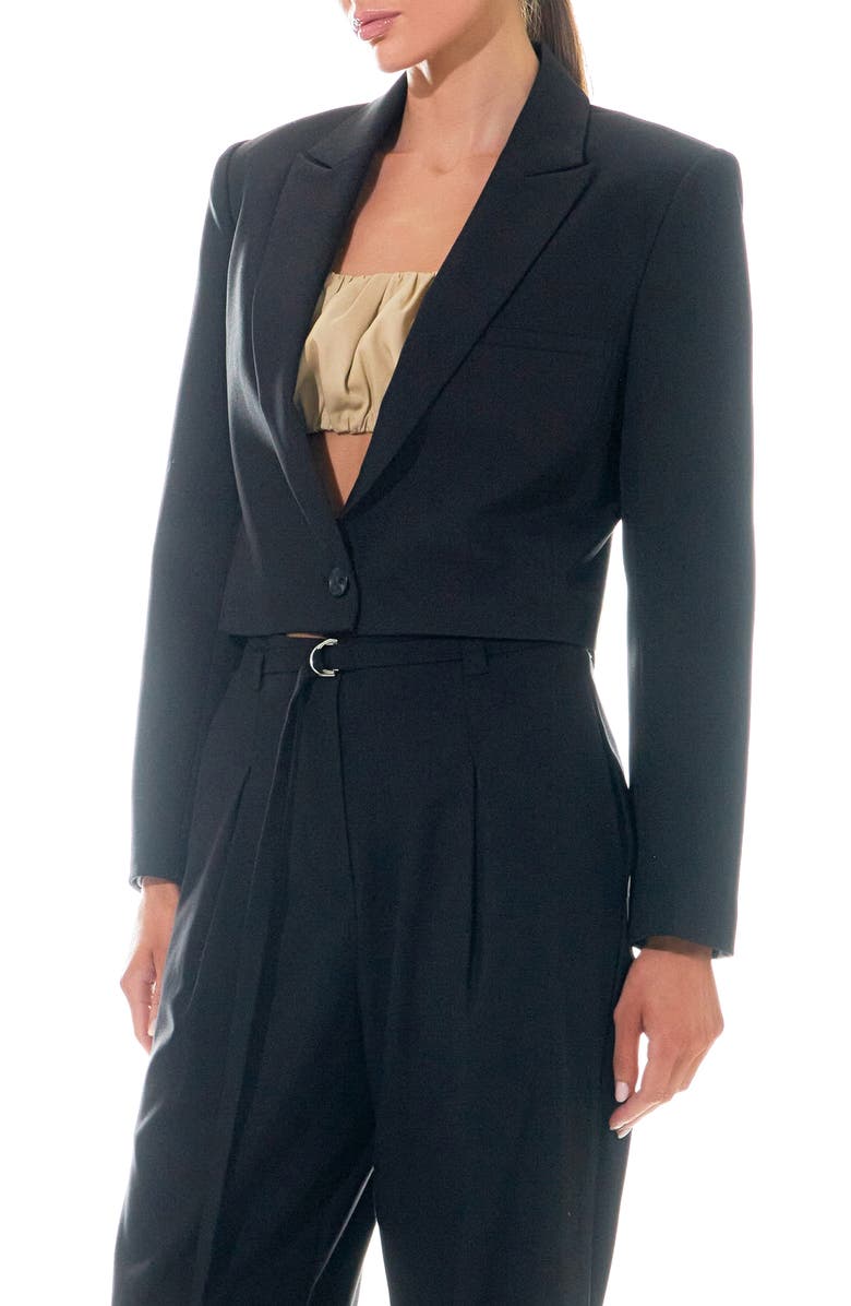Grey Lab One-Button Crop Blazer, Alternate, color, 