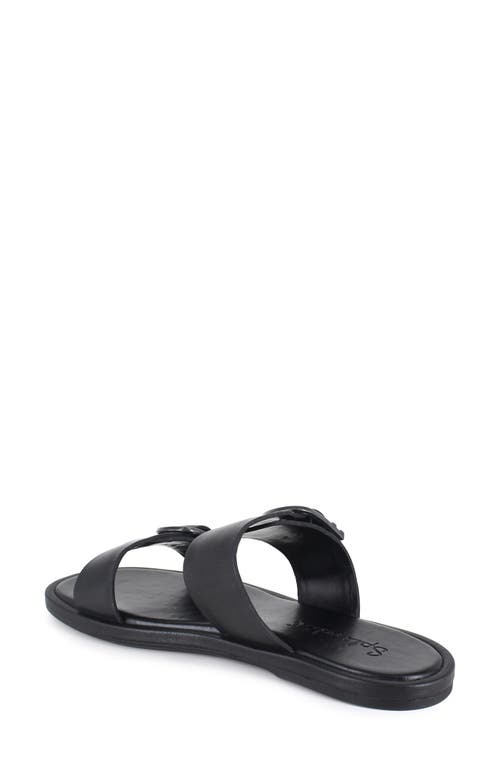 Splendid Women's Farrin Slip On Buckled Slide Sandals In Black