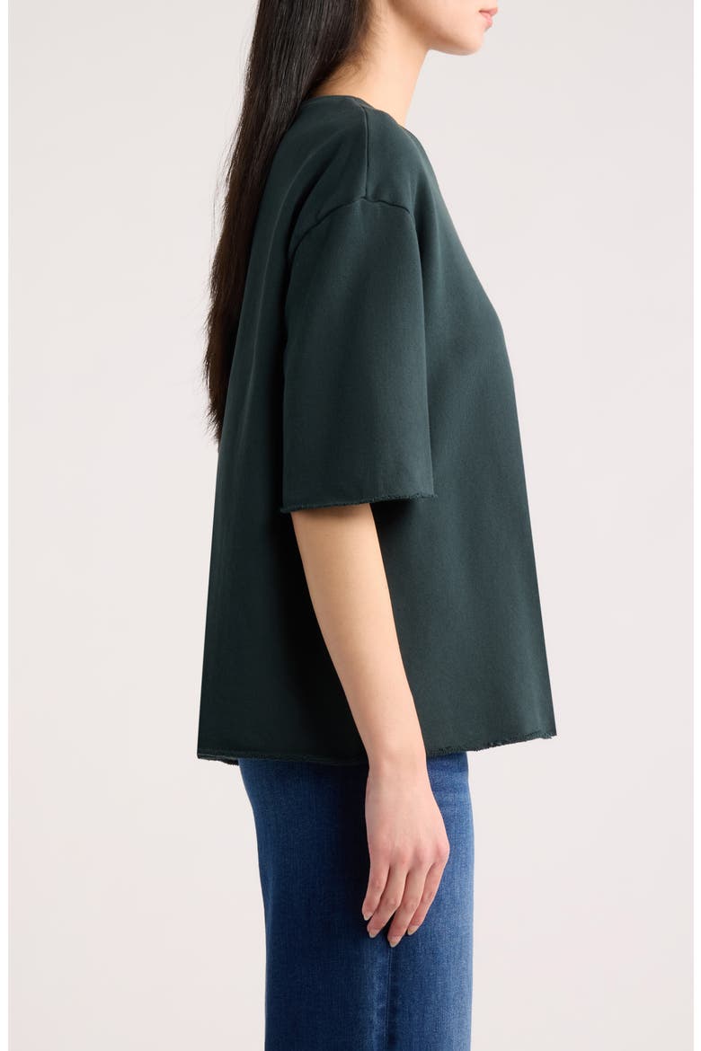 Perry Cotton Fleece Tee, Alternate, color, PINE