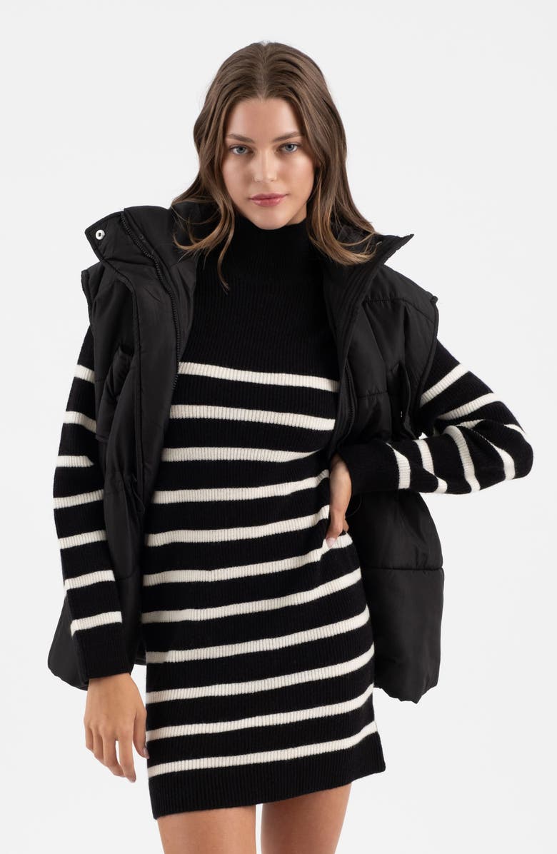 Blu Pepper Stripe Long Sleeve Sweater Dress, Alternate, color,