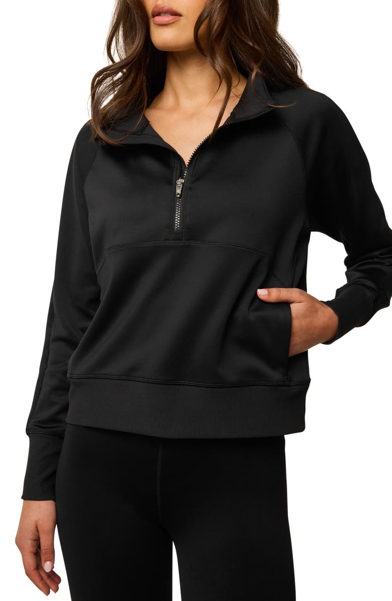 Greyson Nash Half Zip Sweatshirt, Main, color, Shepherd