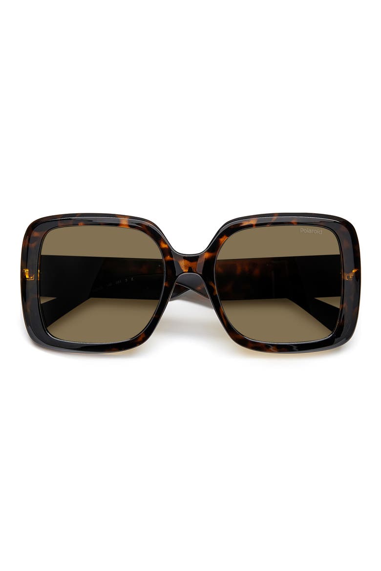54mm Polarized Square Sunglasses, Alternate, color, HAVANA / BRONZE POLAR