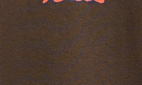Vans Kids' Goblin Step Crew Crewneck Sweatshirt In Brown