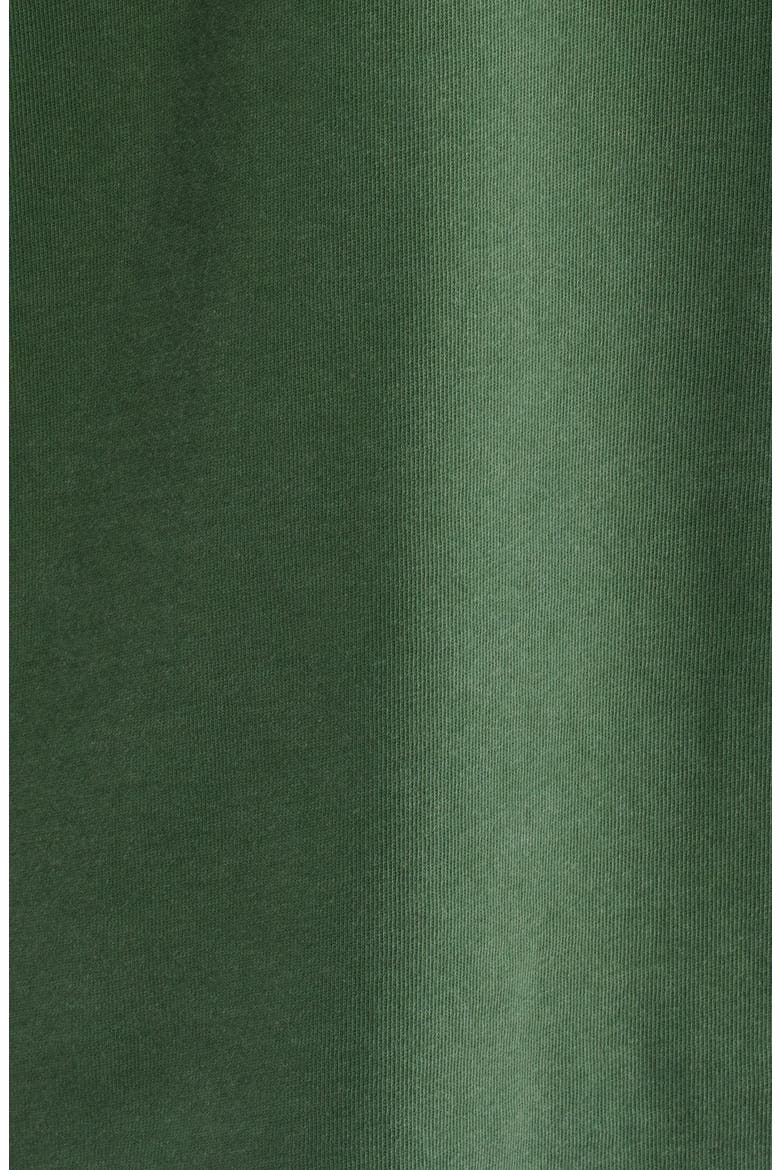 Chippewa Valley Graphic T-Shirt, Alternate, color, GREEN WASH