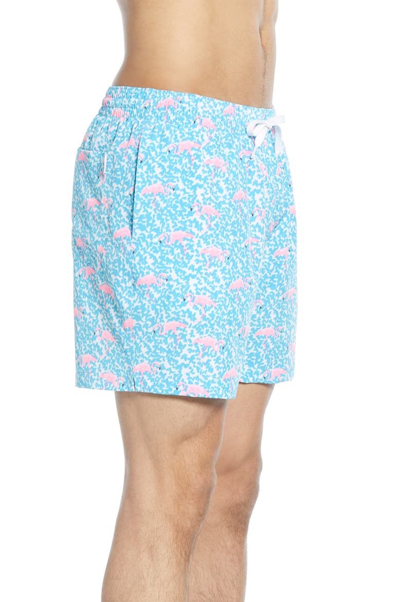 Domingos Flamingos 5.5-Inch Swim Trunks, Alternate, color, LIGHT BLUE FLAMINGO