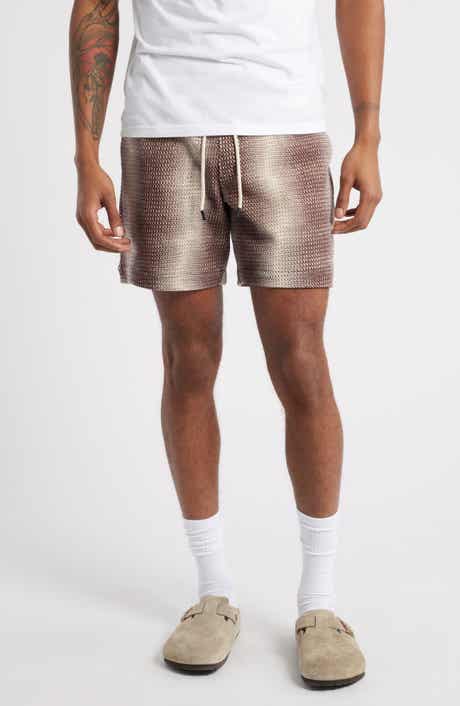 Echo Net Ombré Stripe Knit Shorts