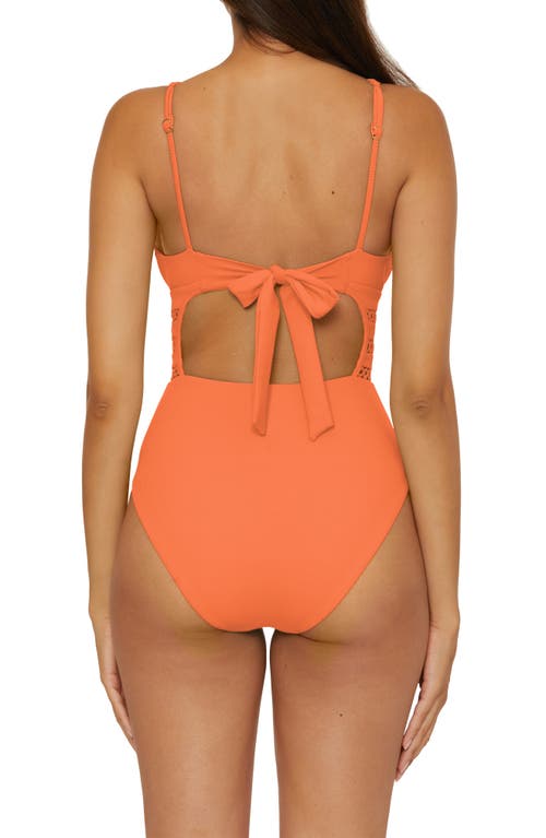 Becca Open Knit Inset One-piece Swimsuit