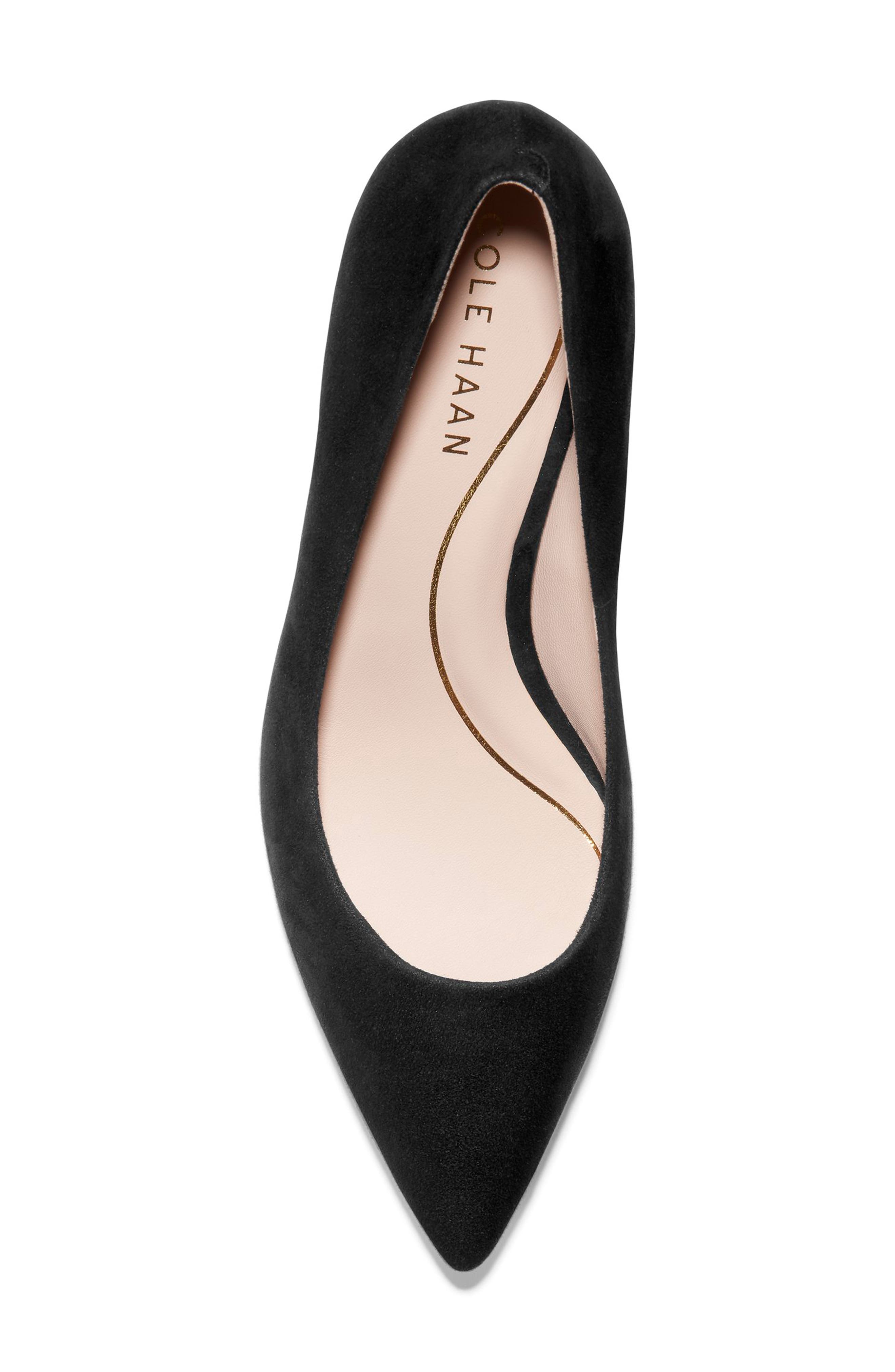 Cole Haan Vandam Pointed Toe Pump, Alternate, color, 