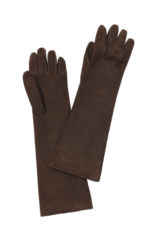Lanvin Long Slim Suede Gloves In Brown