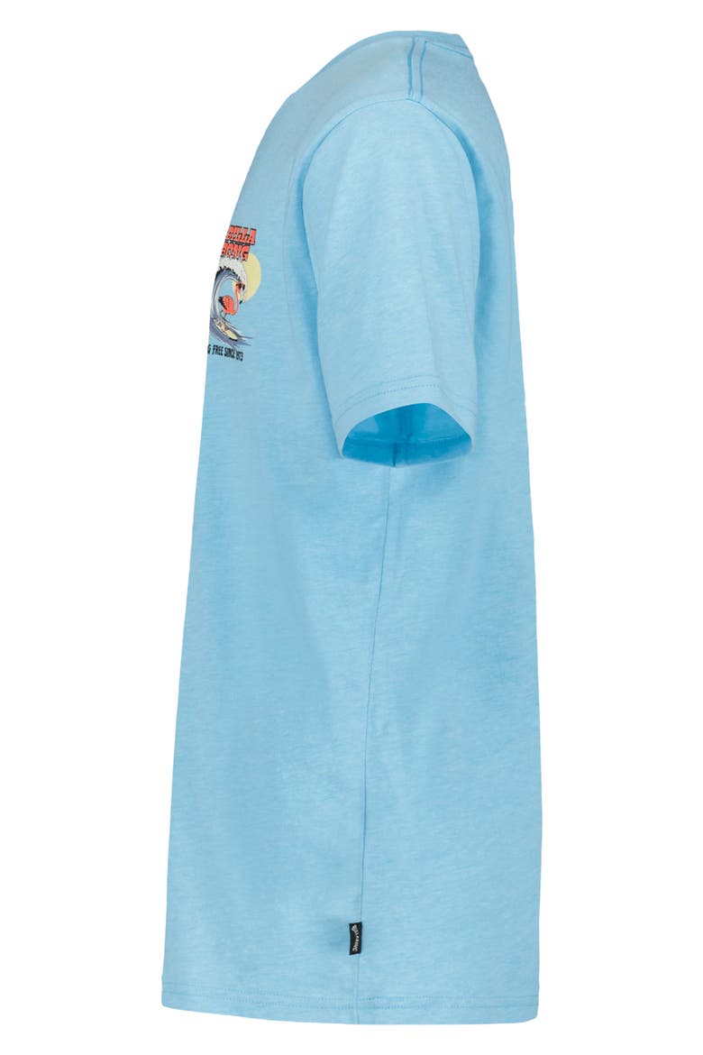 Kids' Flamingo Surf Cotton Graphic T-Shirt, Alternate, color, AQUA HEATHER