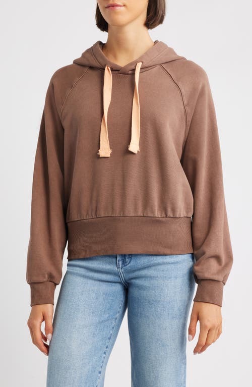 City Blues Crop Cotton Hoodie In Brown