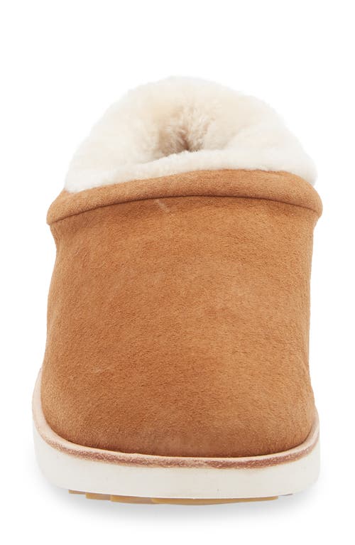 Olukai Mani Genuine Shearling Slipper In Brown