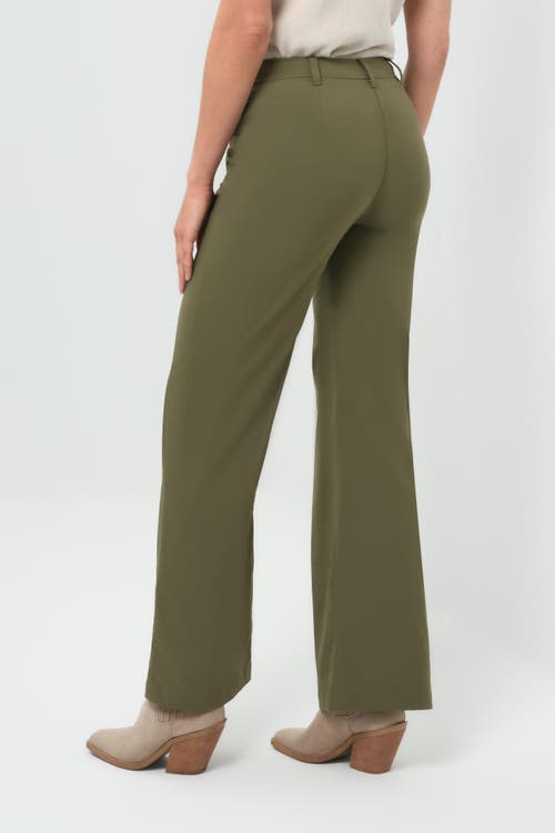 Anatomie Greyson Mid-weight Stretch Wide Leg Pant In Green