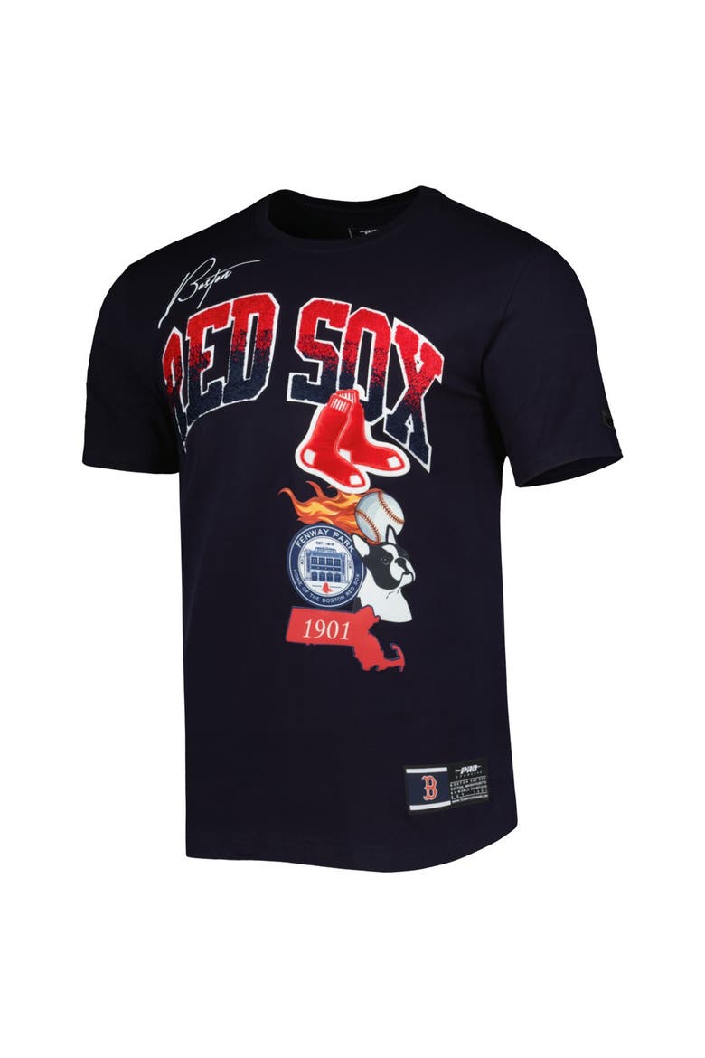 Men's Pro Standard Navy Boston Red Sox Hometown T-Shirt, Alternate, color, Navy