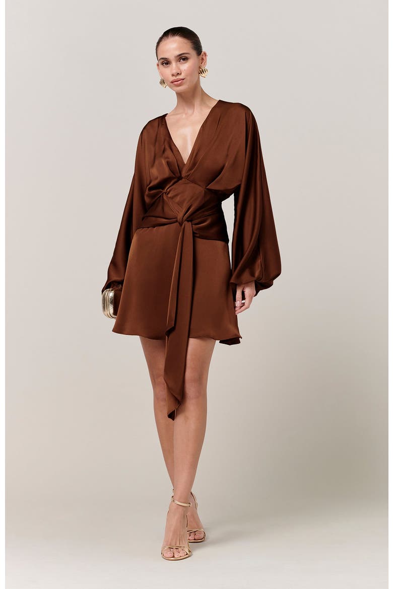 Irena Mini Dress, Alternate, color, Chocolate